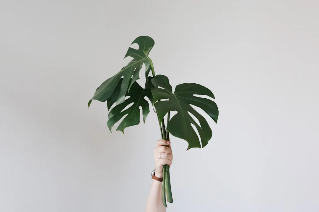 accessoires de yoga | Lieux de Retraites