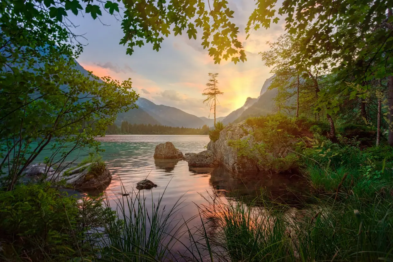 Un paysage naturel apaisant, idéal pour une retraite bien-être.