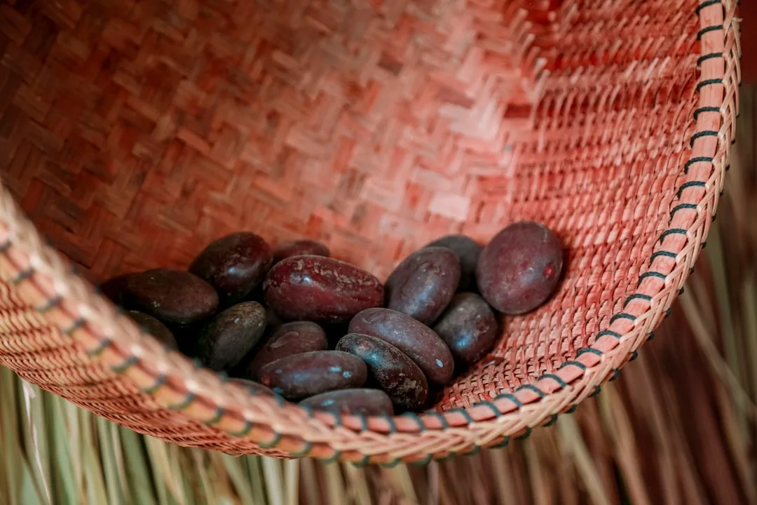 cérémonie cacao | Lieux de Retraites