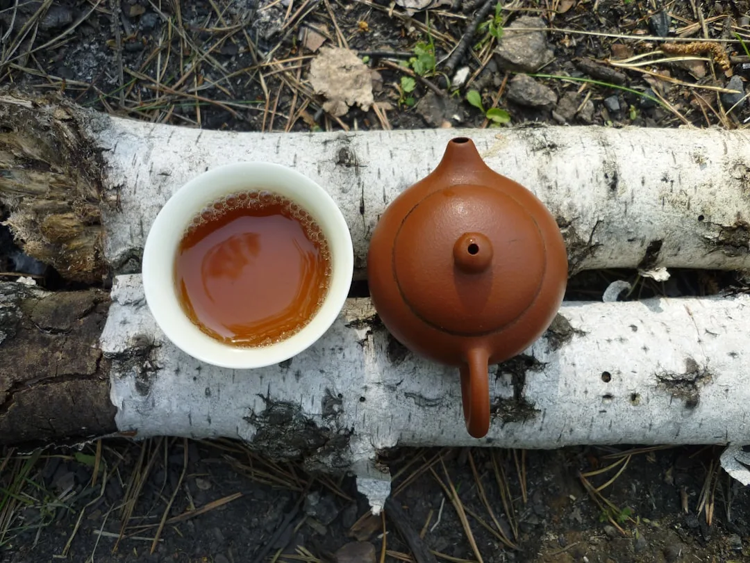 cérémonie cacao | Lieux de Retraites