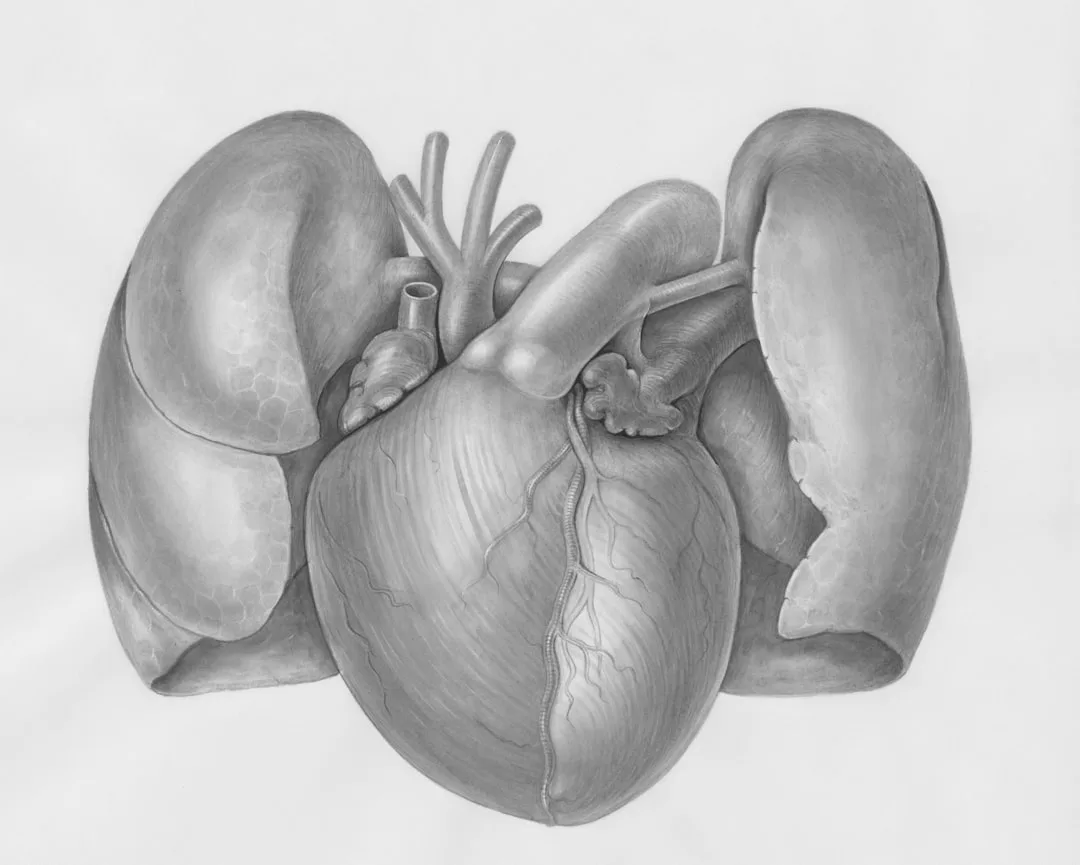 cohérence cardiaque | Lieux de Retraites