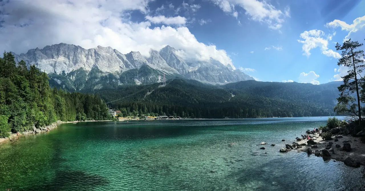 Un paysage naturel apaisant avec des arbres et un ruisseau