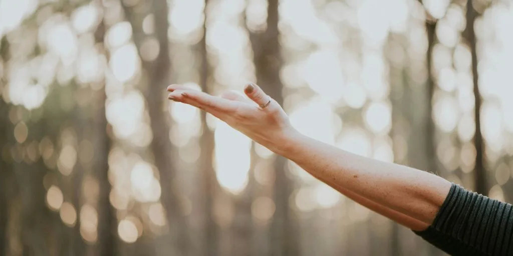 tilt shift lens photography of person lifting hand
