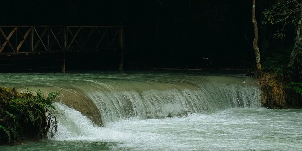 a bridge over a small waterfall in the middle of a forest