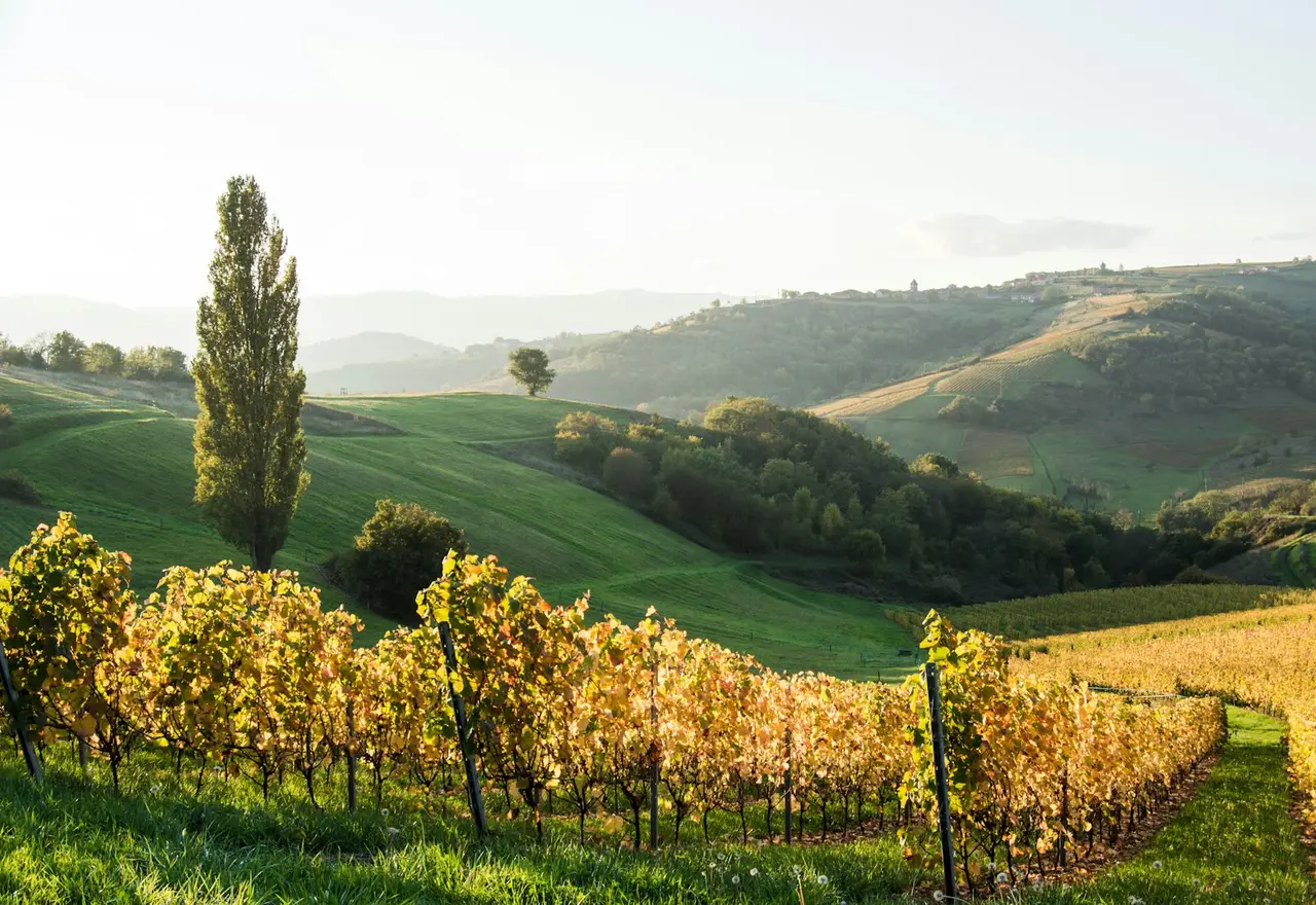 paysage pittoresque de la campagne française