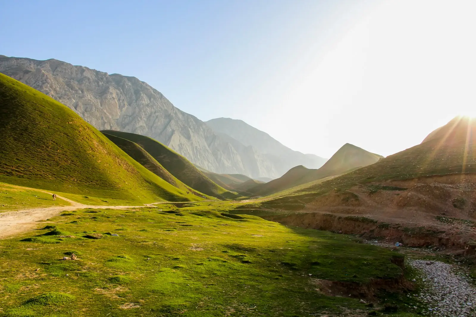 marche afghane | Lieux de Retraites