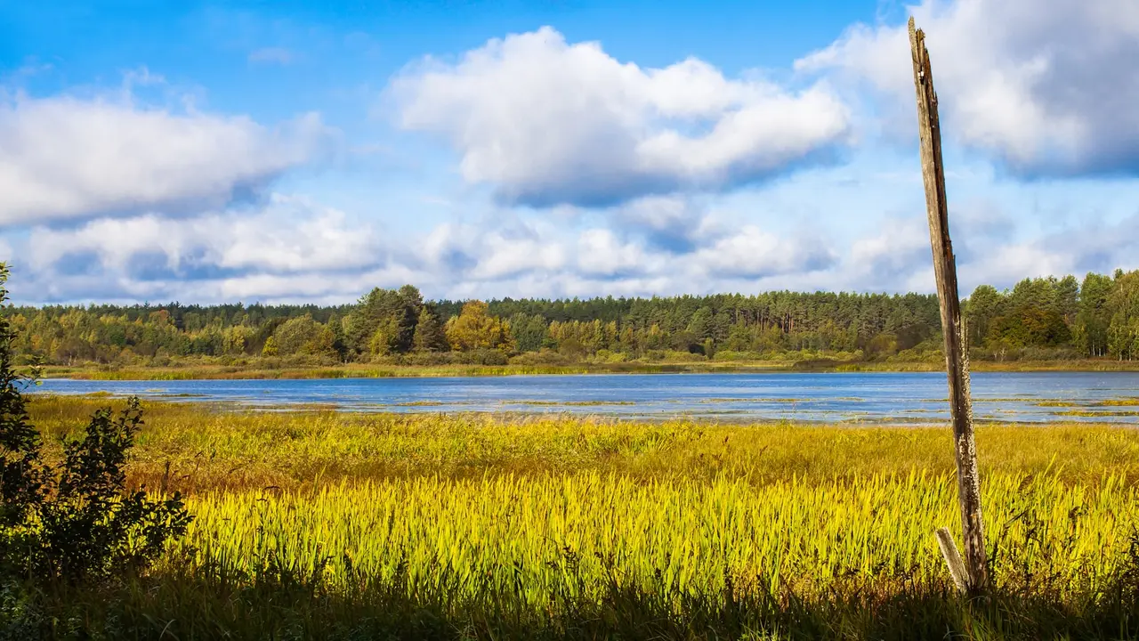 paysage naturel apaisant avec des montagnes