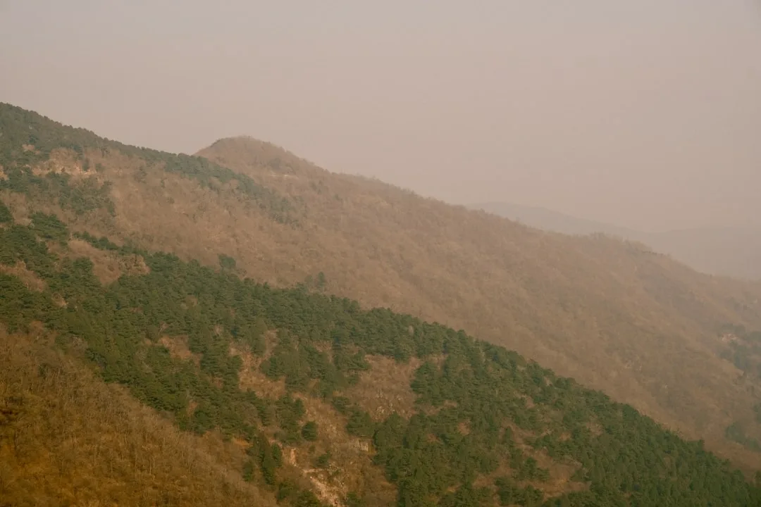 nadi shodhana (respiration alternée) | Lieux de Retraites