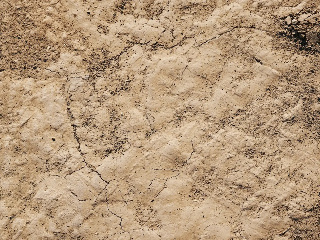 Texte de l'argile naturelle montrant sa texture