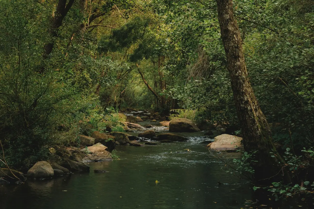 Un paysage naturel serein avec des collines verdoyantes