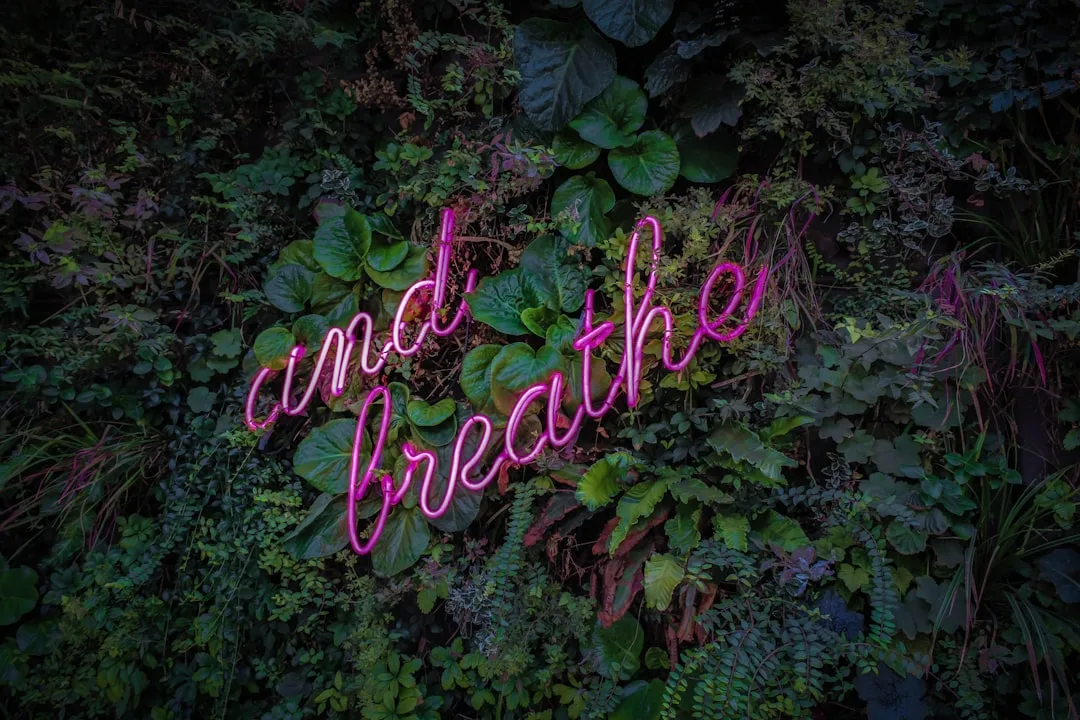 respiration consciente | Lieux de Retraites