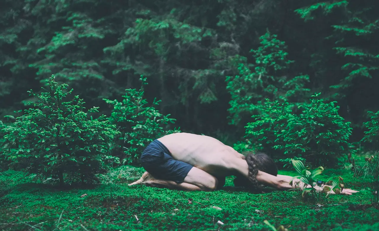 Pratique douce de yoga en extérieur au milieu de la nature