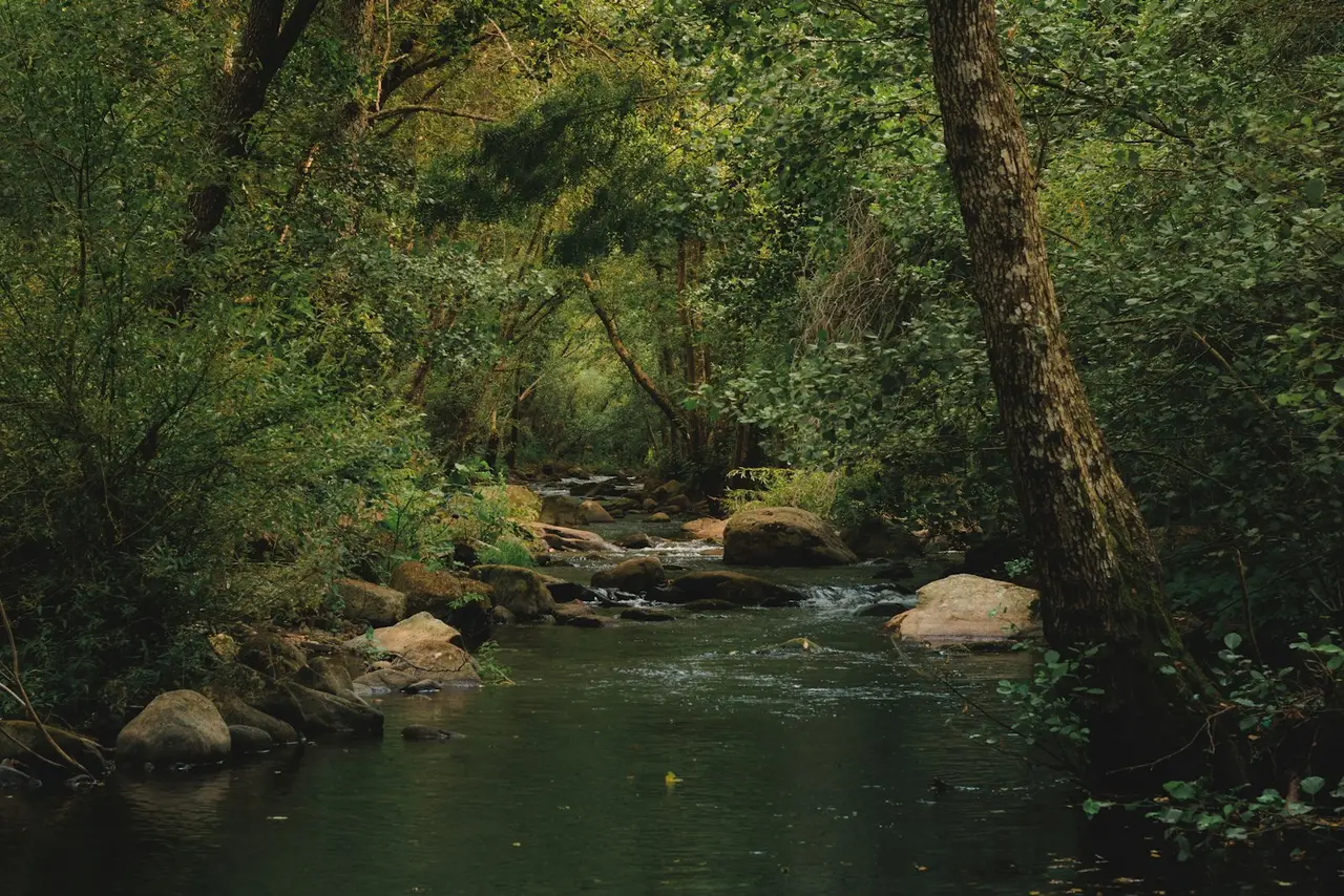 Paysage naturel serein