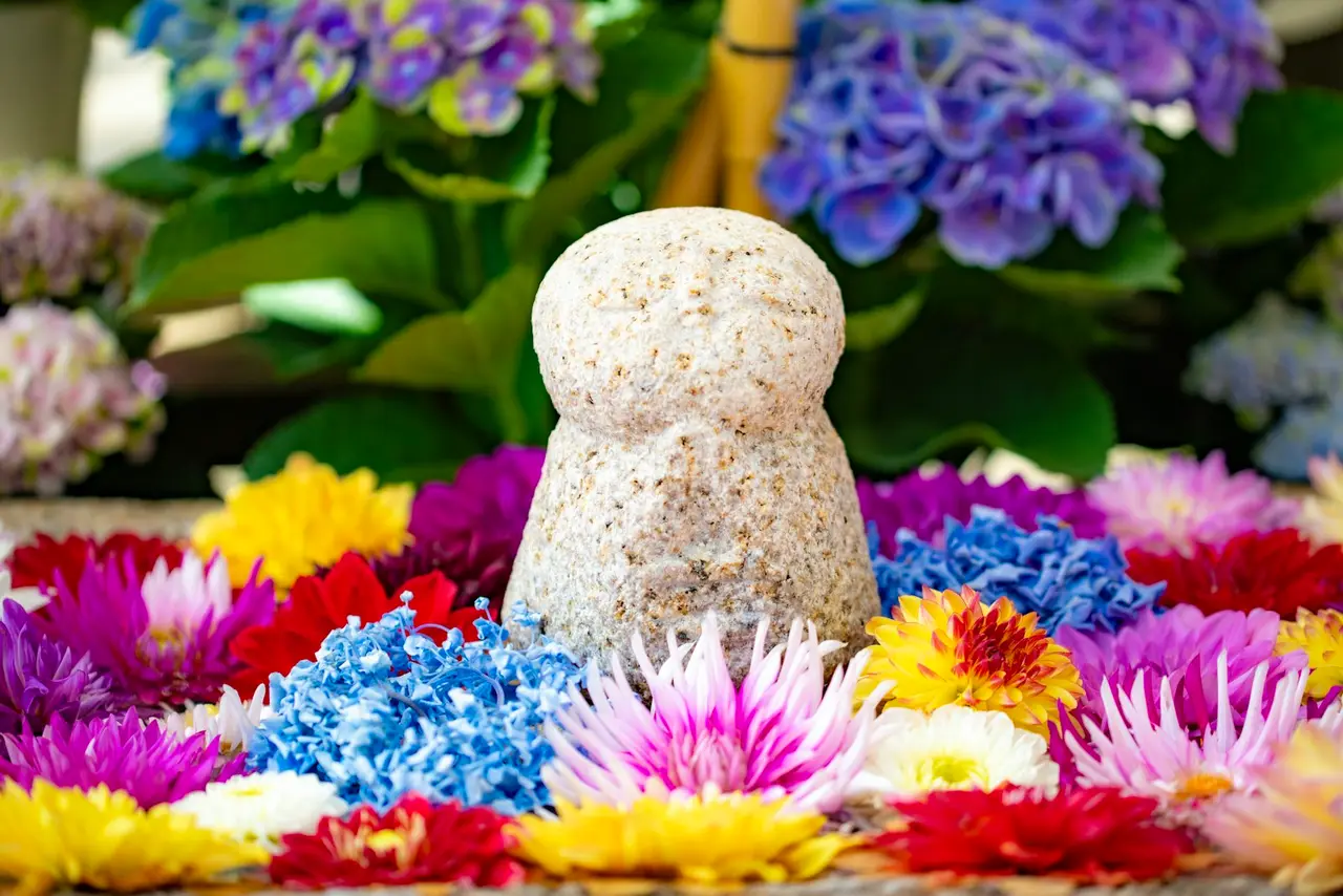 Pierres de méditation entourées de fleurs
