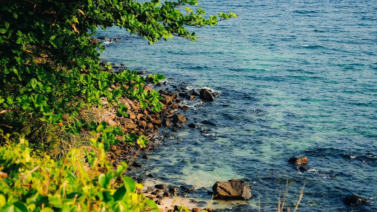 Un lieu de retraite paisible en pleine nature