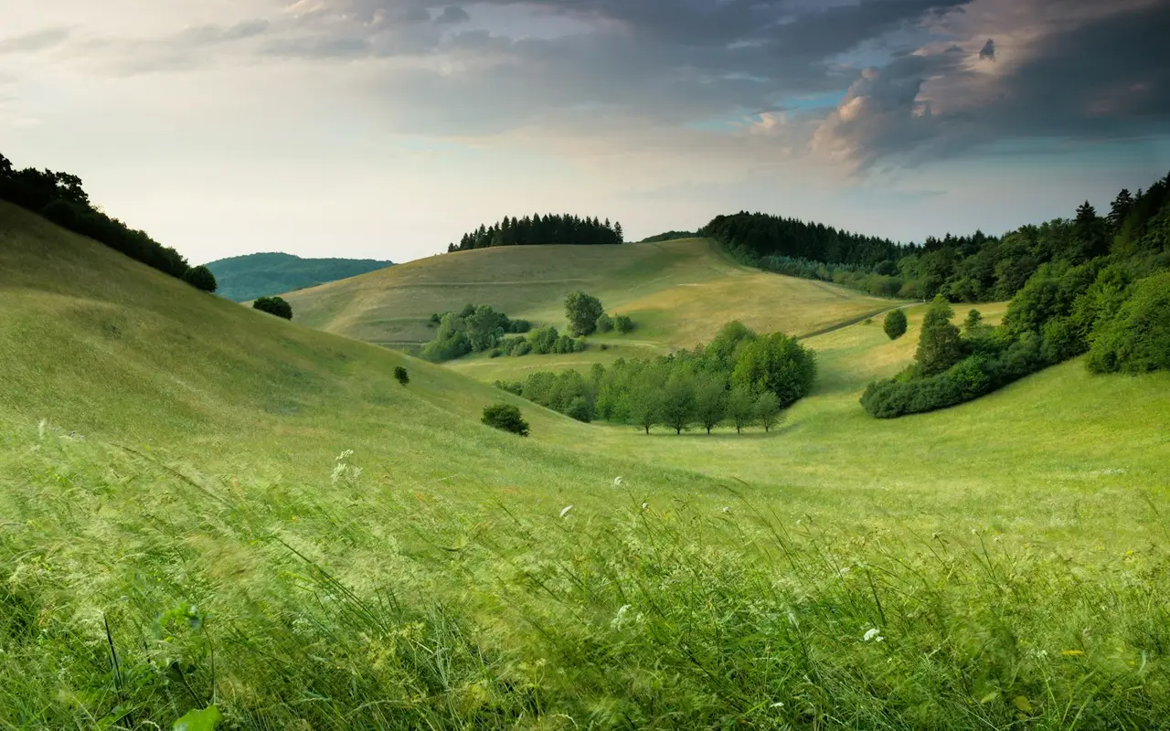 Paysage naturel paisible pour le bien-être