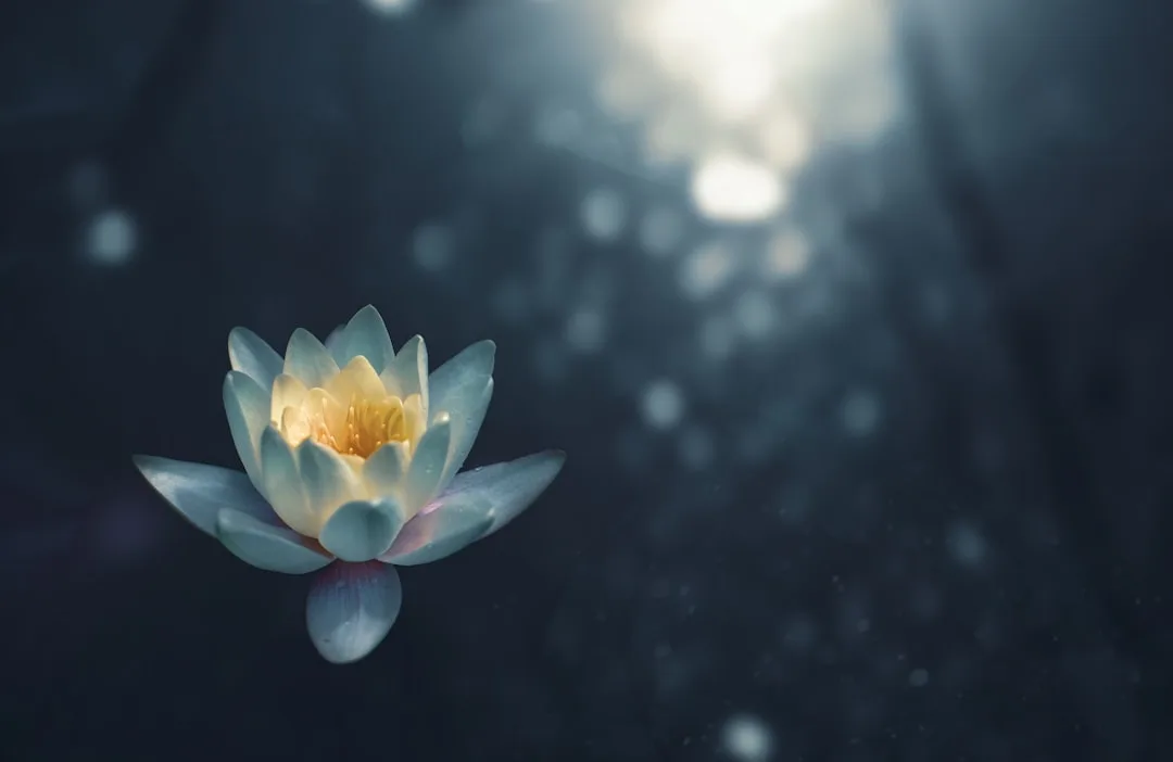 yoga nidra | Lieux de Retraites